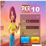 PKR 10 Game APK