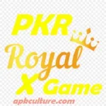 PKR Royal X Casino